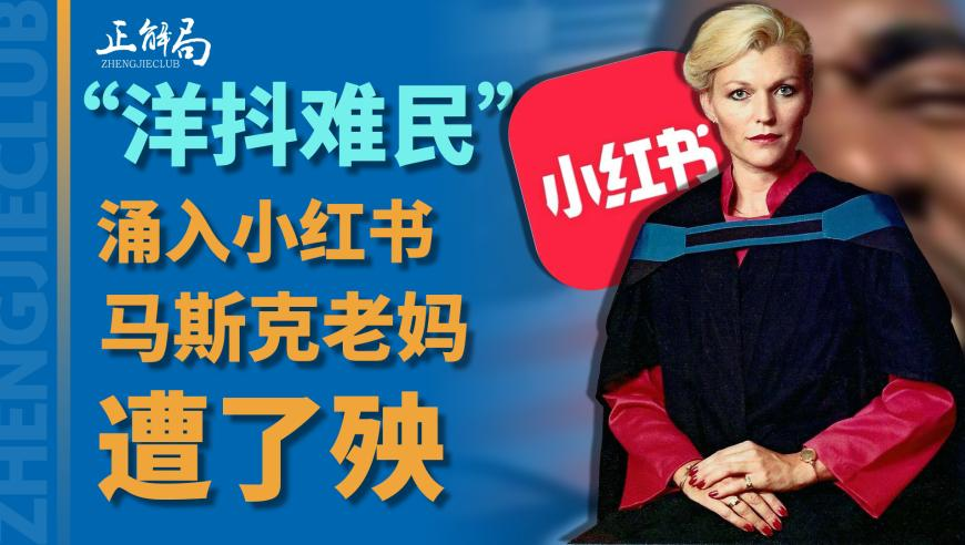 缅因猫 先天cos申公豹圣体,澳门六开彩开奖结果资料查询一,广泛的解释落实方法分析_尊享版V12.16