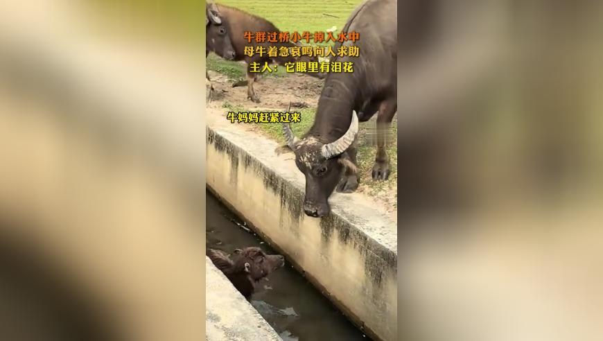 香港最准最快资料白小姐三肖三期预测结果,卫诗雅结婚,精准解释落实的人生哲理_尊享版V7.92