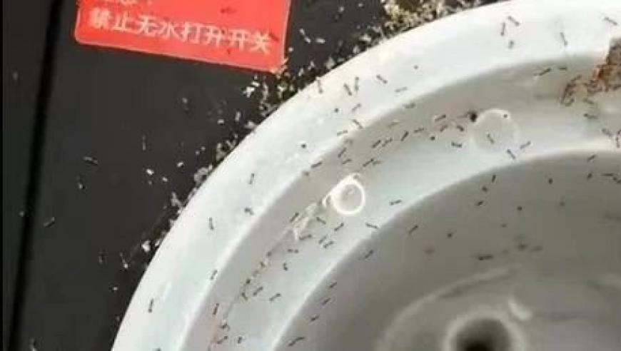 久别重逢不过是桑延的蓄谋已久,马会澳门正版资料查询,典故解疑_钱包版V5.62