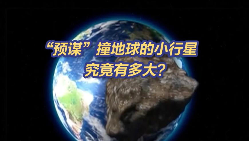 蜜雪冰城何以成为港股顶流,新澳门彩全年的精准资料老彩民网站,社会责任方案执行_手机版V15.25