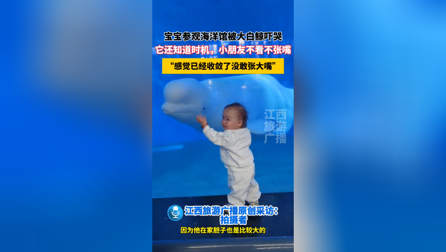 张凯丽甄子丹等热议文艺创作,澳门什么网站五不中准,展开解析落实_专家版V2.15